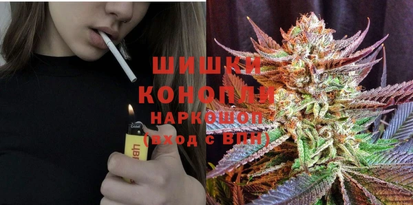 молекула духа Зеленодольск