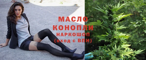 молекула духа Зеленодольск