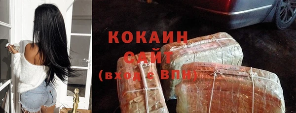 крисы Зеленокумск